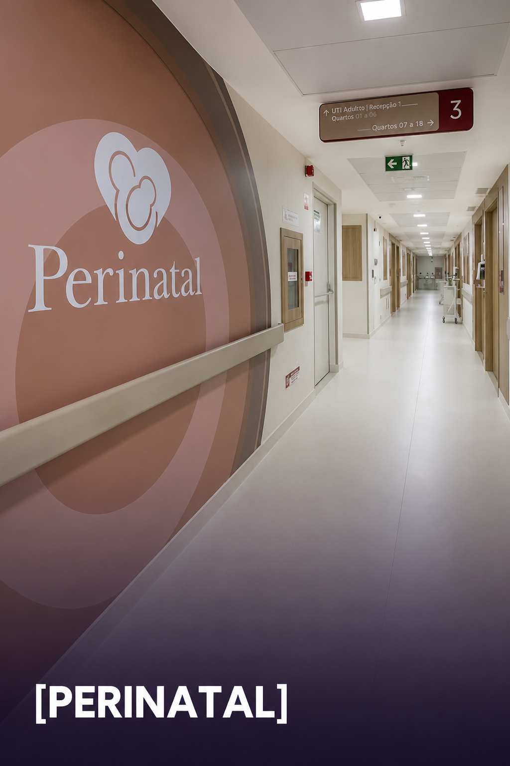 Complexo Perinatal